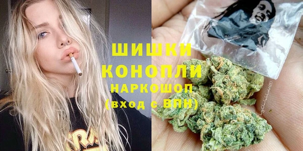 шишки Волосово