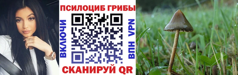 Псилоцибиновые грибы прущие грибы  Нерехта 